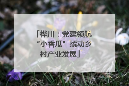 桦川：党建领航“小香瓜”撬动乡村产业发展