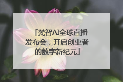 梵智AI全球直播发布会，开启创业者的数字新纪元