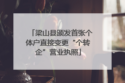 梁山县颁发首张个体户直接变更“个转企”营业执照