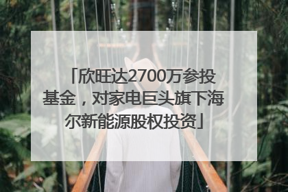 欣旺达2700万参投基金，对家电巨头旗下海尔新能源股权投资