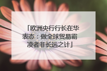 欧洲央行行长在华表态：做全球贸易霸凌者非长远之计