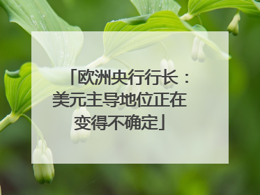欧洲央行行长：美元主导地位正在变得不确定