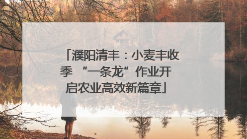 濮阳清丰：小麦丰收季 “一条龙”作业开启农业高效新篇章
