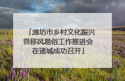 潍坊市乡村文化振兴暨移风易俗工作推进会在诸城成功召开