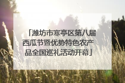 潍坊市寒亭区第八届西瓜节暨优势特色农产品全国巡礼活动开幕