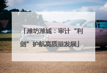潍坊潍城：审计“利剑”护航高质量发展