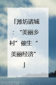 潍坊诸城：“美丽乡村”催生“美丽经济”
