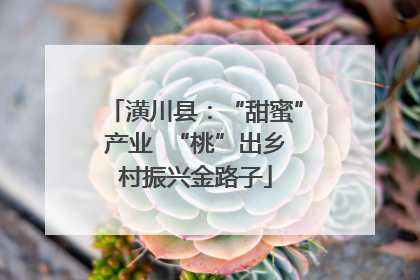 潢川县：“甜蜜”产业  “桃”出乡村振兴金路子