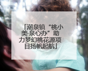 潮泉镇“桃小美·泉心办”助力梦幻桃花源项目扬帆起航