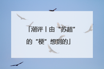 潮评丨由“苏超”的“梗”想到的