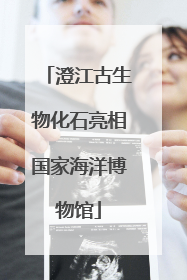 澄江古生物化石亮相国家海洋博物馆