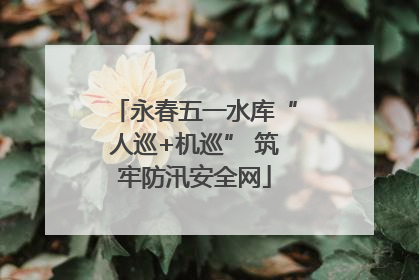 永春五一水库“人巡+机巡” 筑牢防汛安全网