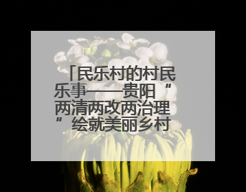 民乐村的村民乐事——贵阳“两清两改两治理”绘就美丽乡村新图景