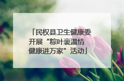 民权县卫生健康委开展“粽叶裹温情 健康进万家”活动