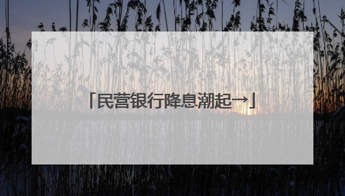 民营银行降息潮起→