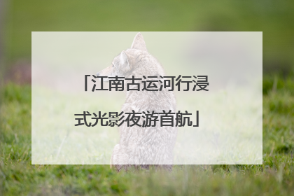 江南古运河行浸式光影夜游首航