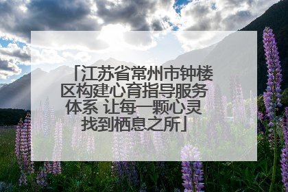 江苏省常州市钟楼区构建心育指导服务体系 让每一颗心灵找到栖息之所