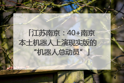江苏南京：40+南京本土机器人上演现实版的“机器人总动员”