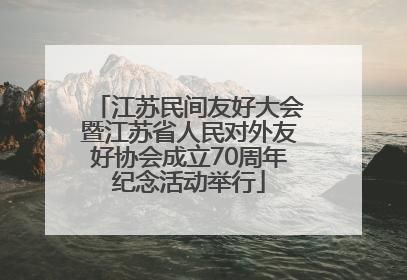 江苏民间友好大会暨江苏省人民对外友好协会成立70周年纪念活动举行