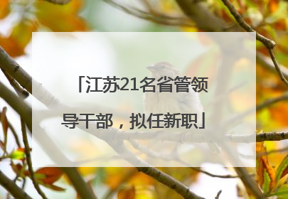 江苏21名省管领导干部，拟任新职