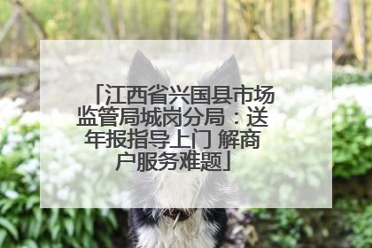 江西省兴国县市场监管局城岗分局：送年报指导上门 解商户服务难题