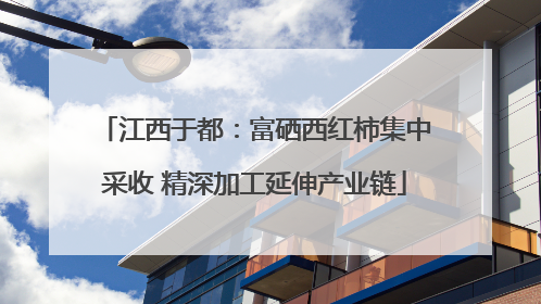江西于都：富硒西红柿集中采收 精深加工延伸产业链