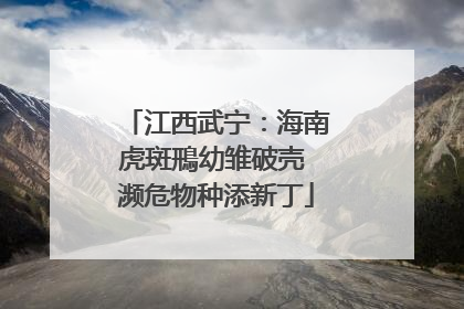 江西武宁：海南虎斑鳽幼雏破壳 濒危物种添新丁