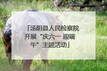 汤阴县人民检察院开展“庆六一 迎端午”主题活动