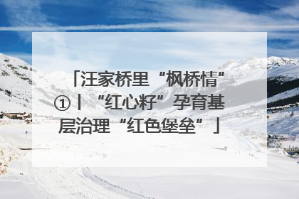 汪家桥里“枫桥情”①丨“红心籽”孕育基层治理“红色堡垒”