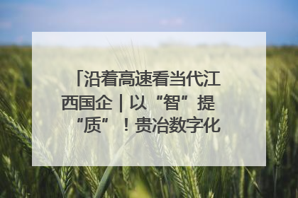 沿着高速看当代江西国企｜以“智”提“质”！贵冶数字化转型迈出新步伐