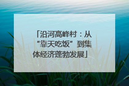 沿河高峰村：从“靠天吃饭”到集体经济蓬勃发展