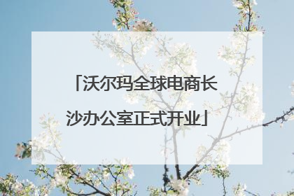 沃尔玛全球电商长沙办公室正式开业