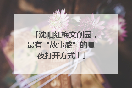 沈阳红梅文创园，最有“故事感”的夏夜打开方式！