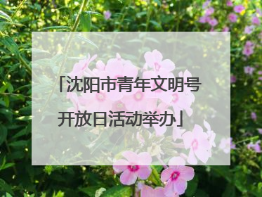 沈阳市青年文明号开放日活动举办