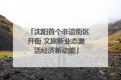 沈阳首个非遗街区开街 文旅新业态激活经济新动能
