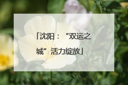沈阳：“双运之城”活力绽放