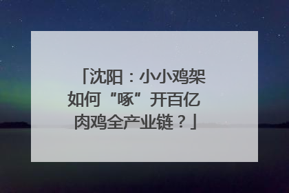 沈阳：小小鸡架如何“啄”开百亿肉鸡全产业链？