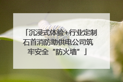 沉浸式体验+行业定制 石首消防助供电公司筑牢安全“防火墙”