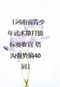 河南省青少年武术散打锦标赛收官 塔沟强势摘40冠