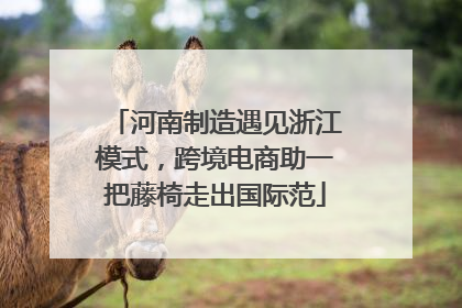 河南制造遇见浙江模式，跨境电商助一把藤椅走出国际范