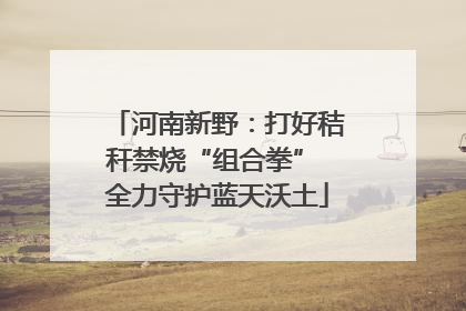 河南新野：打好秸秆禁烧“组合拳” 全力守护蓝天沃土