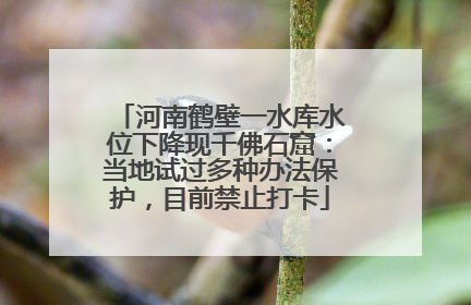 河南鹤壁一水库水位下降现千佛石窟：当地试过多种办法保护，目前禁止打卡