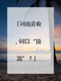河南麦收，何以“顶流”？
