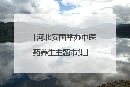 河北安国举办中医药养生主题市集
