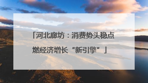 河北廊坊：消费势头稳点燃经济增长“新引擎”