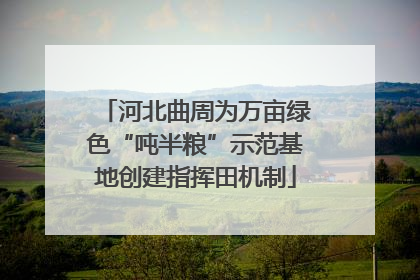 河北曲周为万亩绿色“吨半粮”示范基地创建指挥田机制
