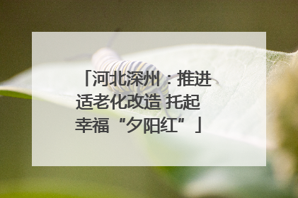 河北深州：推进适老化改造 托起幸福“夕阳红”