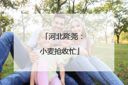 河北隆尧：小麦抢收忙