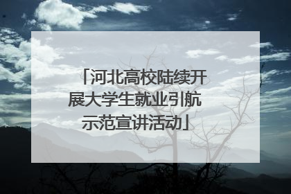 河北高校陆续开展大学生就业引航示范宣讲活动
