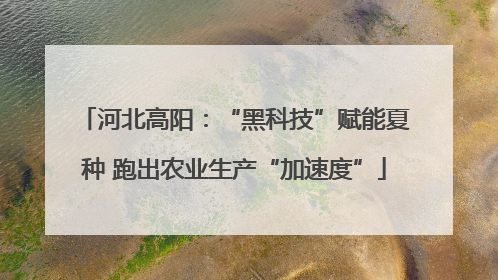 河北高阳：“黑科技”赋能夏种 跑出农业生产“加速度”